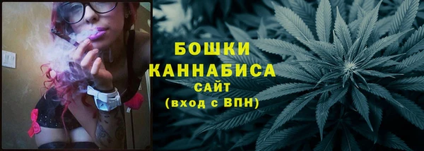 индика Гусь-Хрустальный