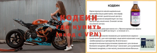 гашик Нея