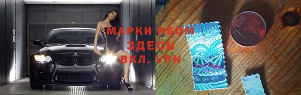 индика Гусь-Хрустальный