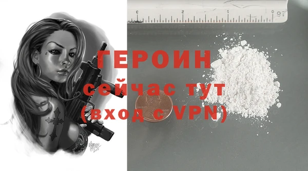 индика Гусь-Хрустальный