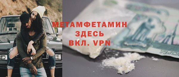 индика Гусь-Хрустальный