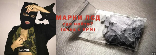 шишки Гусев
