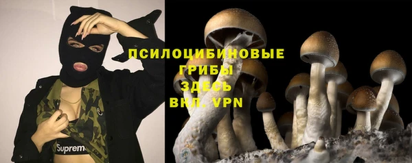 шишки Гусев