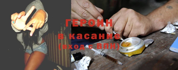 шишки Гусев
