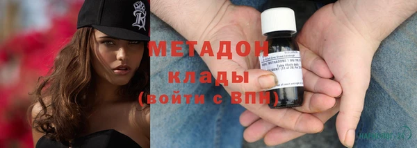 шишки Гусев