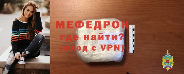 индика Гусь-Хрустальный