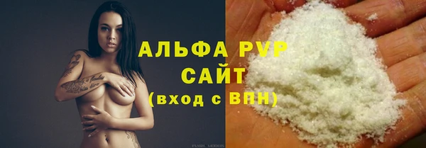 индика Гусь-Хрустальный