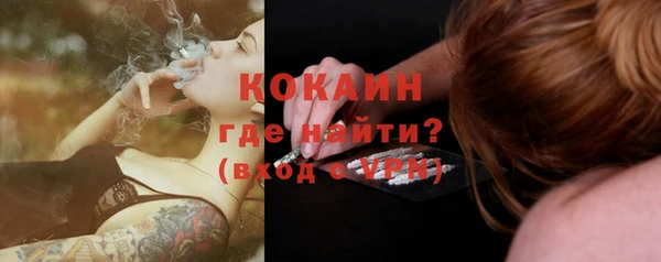 шишки Гусев