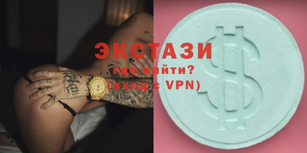индика Гусь-Хрустальный