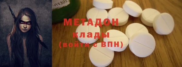 индика Гусь-Хрустальный