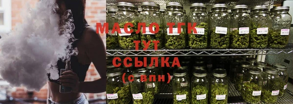 индика Гусь-Хрустальный