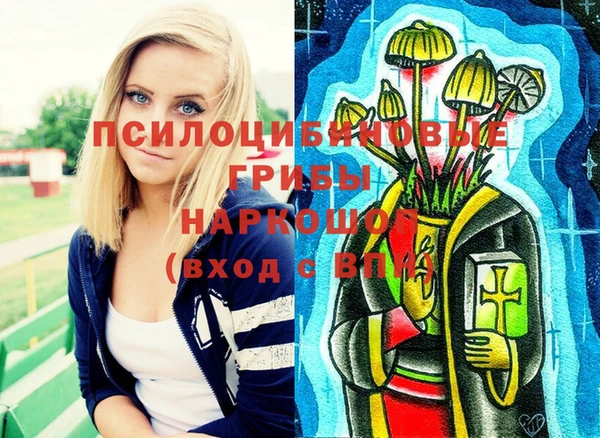 дживик Дмитров