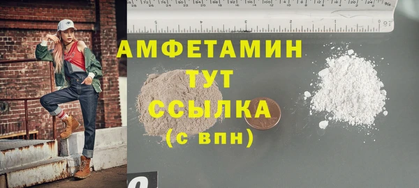 индика Гусь-Хрустальный