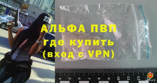 индика Гусь-Хрустальный