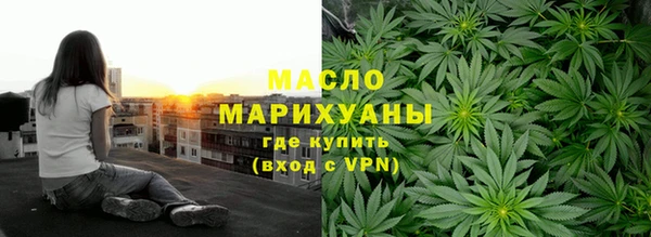 индика Гусь-Хрустальный