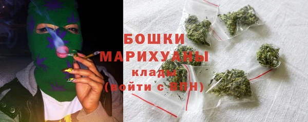 индика Гусь-Хрустальный