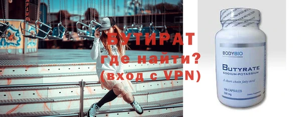индика Гусь-Хрустальный