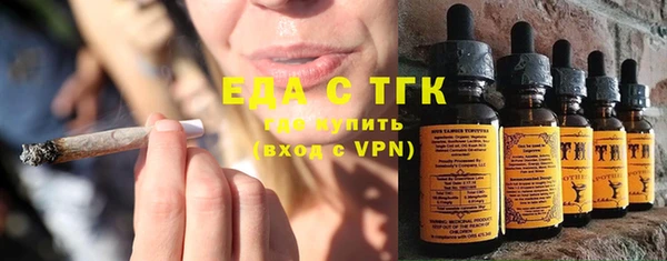 шишки Гусев