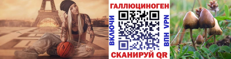 kraken маркетплейс  Меленки  Галлюциногенные грибы прущие грибы 